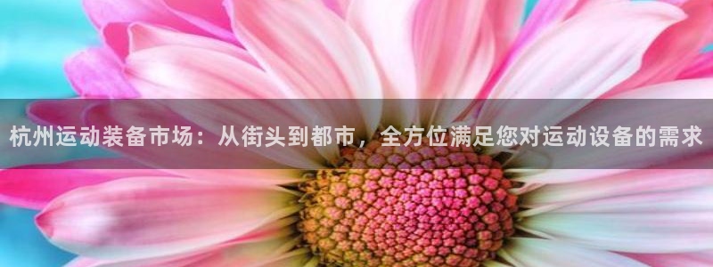 fb体育平台是正规平台吗:杭州运动装备市场:从街头到都市,全