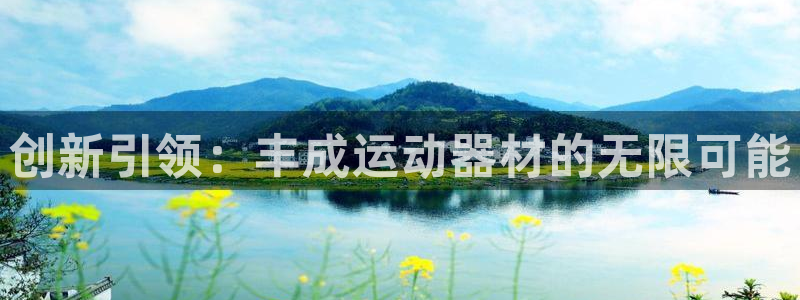 fb体育集团logo:创新引领:丰成运动器材的无限可能