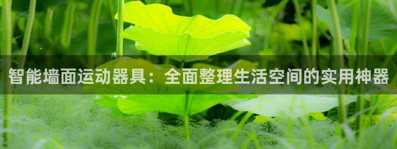 fb体育平台:智能墙面运动器具:全面整理生活空间的实用神器